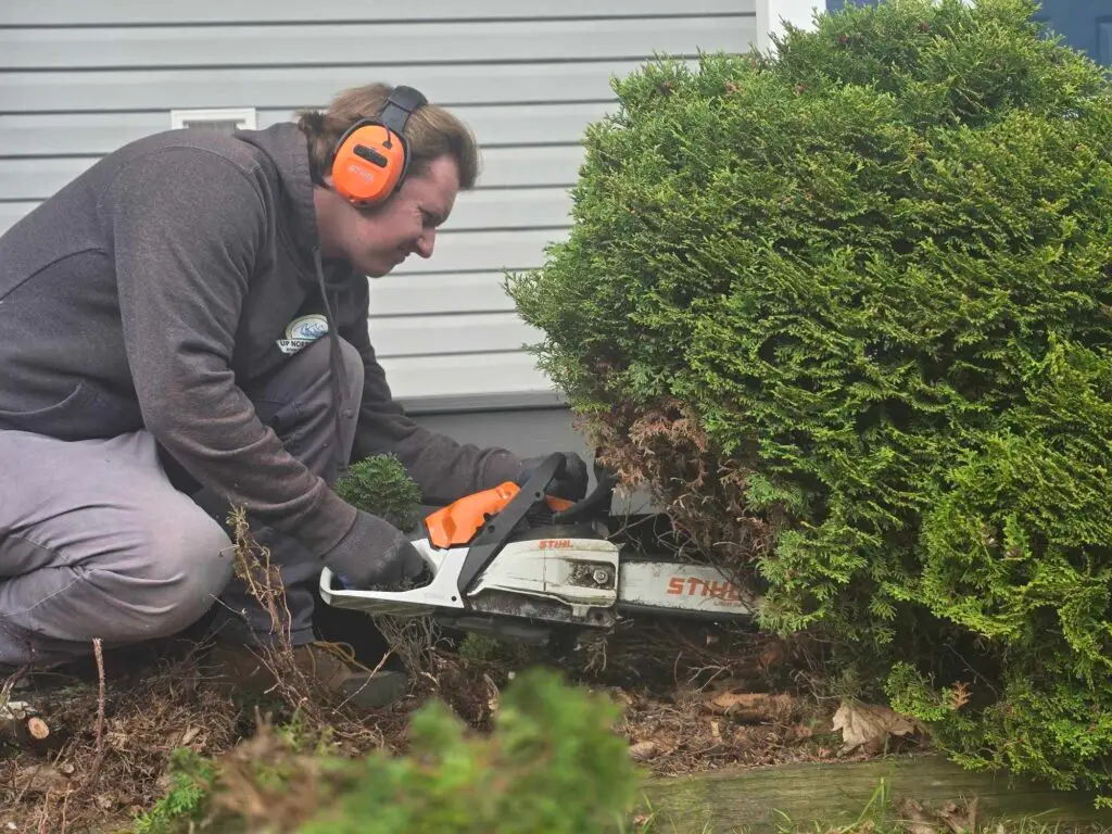 Up North Cleanup - Shrub Removal