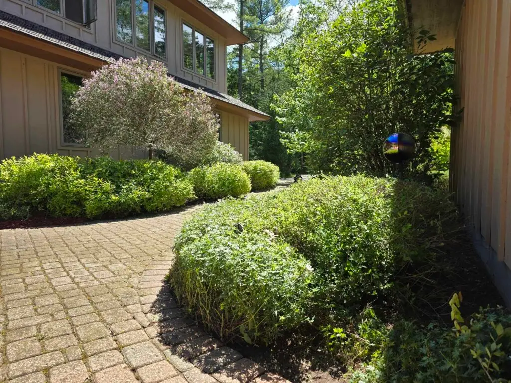 Up North Cleanup - Custom Landscaping